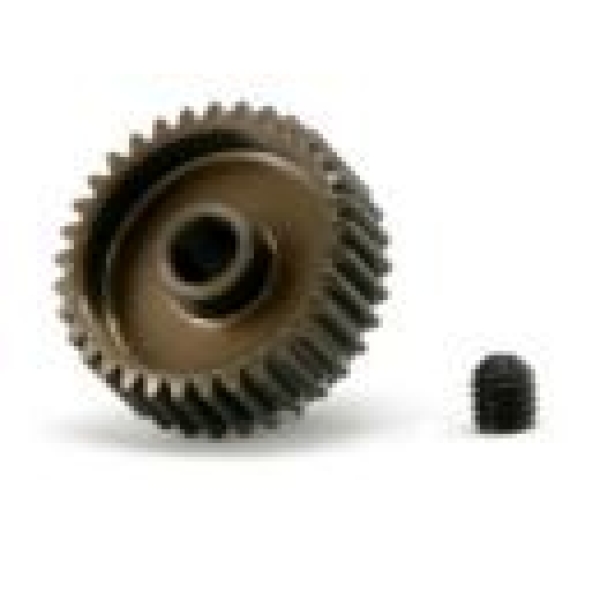 Pinion 64P 33T (#110533)