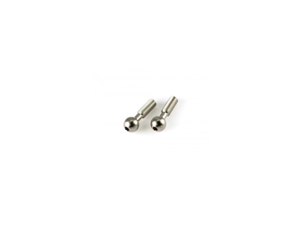 STEEL BALL SCREW ?8mm(2pcs)  (#G080)
