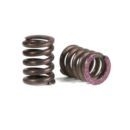 2-speed springs (2) (#404111)