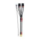 Parallel Ladekabel f�ür T1000 f�ür 4mm oder 5mm